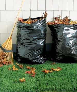Leaf Collection--October 23rd through November 24th
